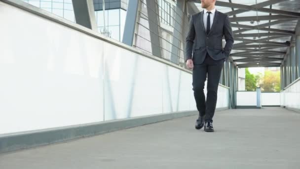 Confident guy in suit being on his way to work. Cityscape background — Vídeo de Stock