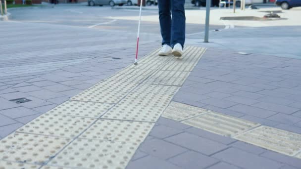Nogi osoby niewidomej przeszukującej specjalne płytki dotykowe za pomocą trzciny. Ślepy człowiek chodzący z laską na ulicy — Wideo stockowe