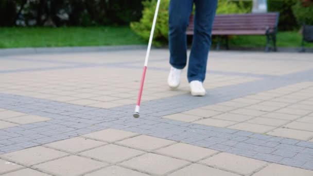 Hombre ciego caminando con un bastón en el parque. Hombre con gafas y ropa casual. Concepto de independencia — Vídeos de Stock