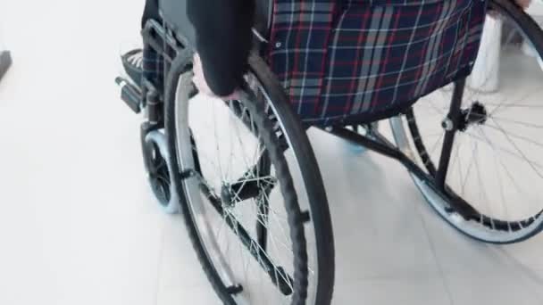Podnikatelé Úřadu Koncepce Podnikatelka Invalidním Vozíku Chodbě Kanceláře — Stock video