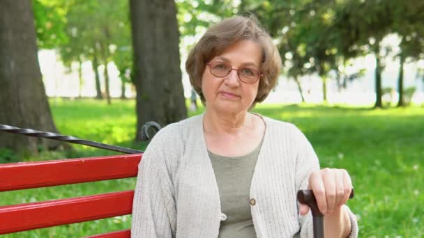 Ritratto Donna Anziana Con Occhiali Sorridenti Panchina Nel Parco Pubblico — Video Stock