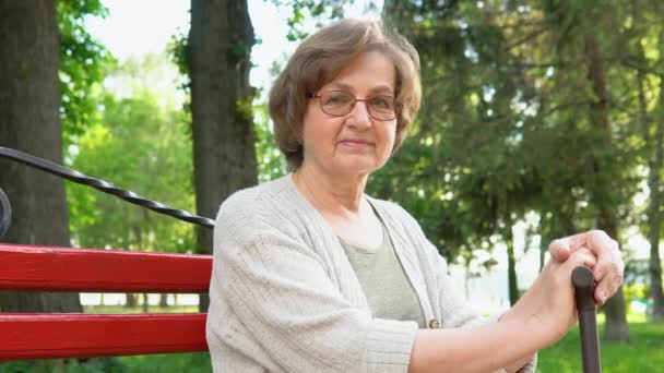 Retrato Una Hermosa Mujer Mayor Sentada Banco Parque Mirando Cámara — Vídeo de stock