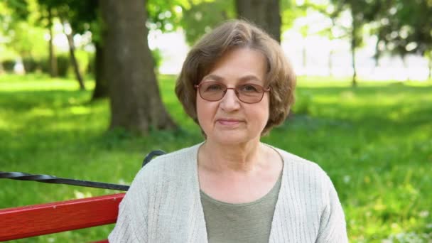 Retrato Una Vieja Mujer Caucásica Sonriendo Felizmente Mirando Cámara Parque — Vídeo de stock