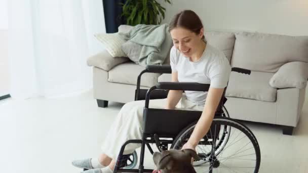 Tekerlekli Sandalyedeki Genç Kız Evde Köpekle Oynuyor Tekerlekli Sandalyedeki Hasta — Stok video