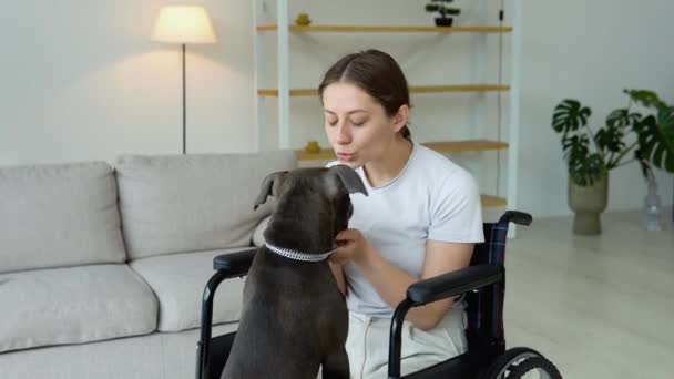 Egy Fiatal Lány Tolószékben Kutyával Játszik Otthon Tolószékes Beteg Fiatal — Stock videók