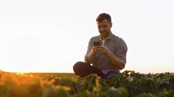Successful Farmer His Plantation Soybean Checks Crop — Stockvideo