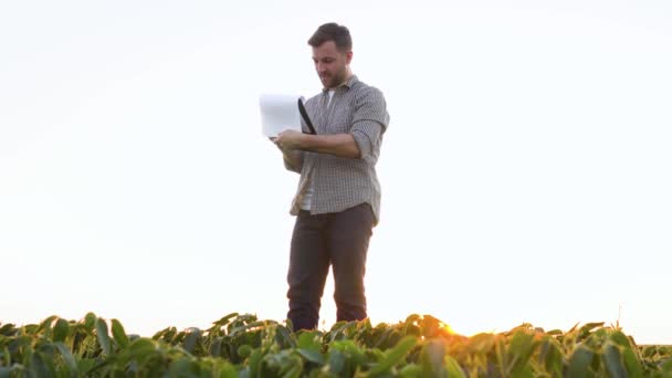 Farmer His Plantation Soybean Checks Crop — Video Stock