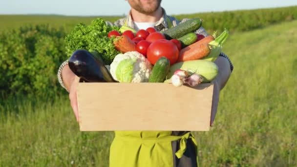 Agricoltore Successo Che Trasporta Cesto Veg Una Giornata Sole — Video Stock