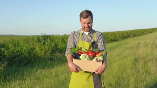 Gazda Áll Egy Kosár Friss Zöldséggel Mezőgazdaság Szántóföldi Zöldségbetakarítási Időszakig — Stock videók