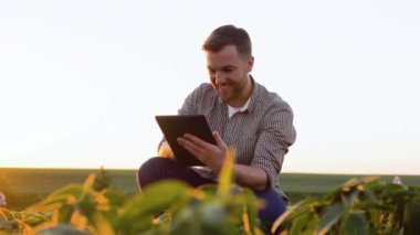 Soya fasulyesi tarlasında başarılı bir çiftçi ekinleri kontrol eder.