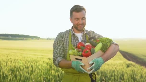 Farmer Stands Basket Full Fresh Vegetables Agriculture Vegetable Harvesting Season — Video Stock