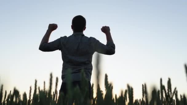 Farmář Zdviženýma Rukama Stojící Uprostřed Zlatého Pšeničného Pole Během Východu — Stock video