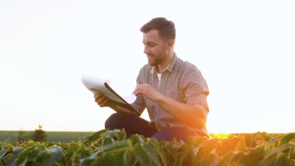 Farmer His Plantation Soybean Checks Crop — Vídeo de Stock