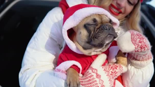 Jonge Vrouw Met Hond Open Kofferbak Wintervakantie Bos — Stockvideo