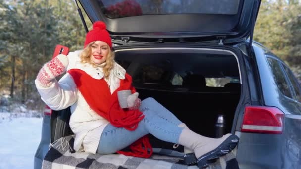 Young Woman Hot Tea Her Hands Sits Car Snowy Day — Vídeo de Stock