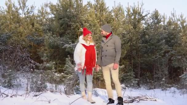 Beautiful Couple Winter Clothes Walking Forest — Stockvideo