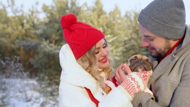Красивая Пара Собакой Зимней Одежде Обнимается Лесу — стоковое видео