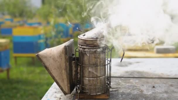 古い蜂の喫煙者 養蜂道具 — ストック動画