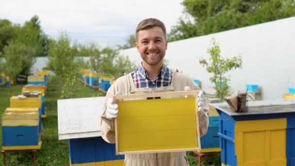 Apicultorul Deține Celulă Miere Albine Mâini Apicultură Apiary Albinele Lucru — Videoclip de stoc