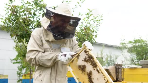 Closeup Portrait Beekeeper Holding Honeycomb Full Bees Beekeeper Protective Workwear — Stock Video