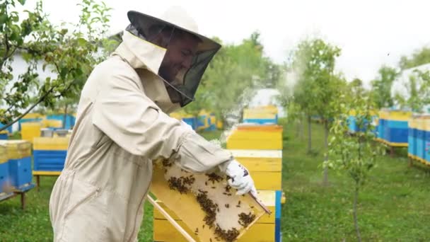 Szoros Portré Méhészről Aki Méhekkel Teli Méhecskét Tart Méhész Védőmunkaruhában — Stock videók