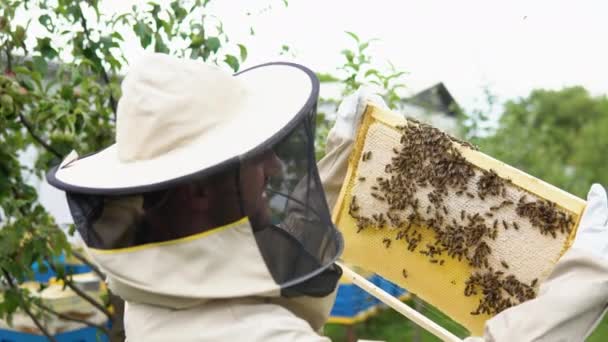 Portrait Rapproché Apiculteur Tenant Nid Abeille Plein Abeilles Apiculteur Tenue — Video