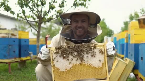 Védő Munkaruha Megvizsgáló Méhsejt Keret Méhészet Méhész Méhészeti Fogalmat Méhész — Stock videók