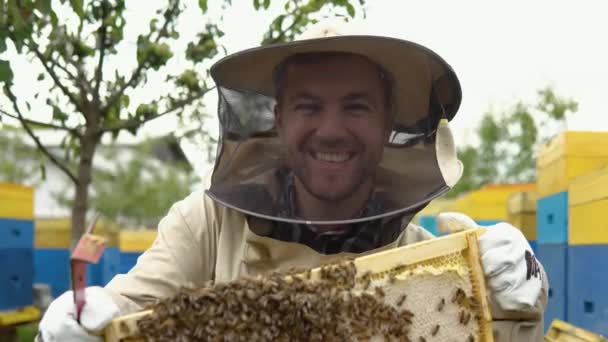 Μελισσοκόμος Στην Προστατευτικός Ρουχισμός Εργασίας Επιθεώρηση Κυψελωτό Πλαίσιο Στο Μελισσοκομείο — Αρχείο Βίντεο