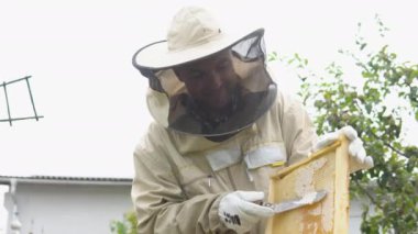 Beekeeper on an apiary, beekeeper is working with bees and beehives on the apiary