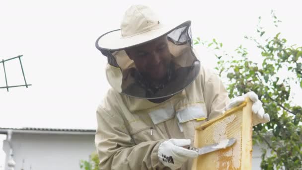 Méhész Méhészetben Méhész Méhekkel Méhkaptárakkal Dolgozik Méhészeten — Stock videók