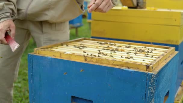 Apiculteur Travail Apiculteur Soulève Étagère Ruche Apiculteur Sauve Les Abeilles — Video