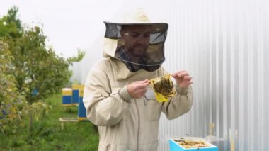 Arı yetiştiricisinin yakından çekilmiş bir portresi. Arılarla dolu bir bal peteği tutuyor. Arı kovanındaki bal peteği çerçevesini kontrol eden koruyucu iş giysisi sorumlusu. Arıcılık konsepti. Arıcı bal topluyor..