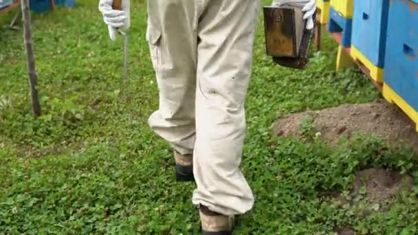 Beekeeper Walking Apiary — Video