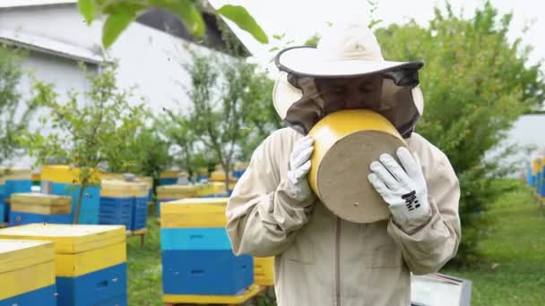 Szoros Portré Méhészről Méhviasszal Kezében Méhészeti Koncepció Méhészeti Betakarítás — Stock videók