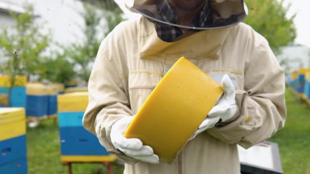 Nahaufnahme Porträt Eines Imkers Der Ein Bienenwachs Hält Imkerkonzept Imker — Stockvideo