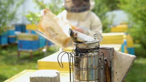 Serrado Millas invadir Vídeos de Traje de apicultura, Footage Traje de apicultura Royalty-free ⬇  Descargar | Depositphotos