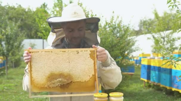 Portrait Beekeeper Honeycomb Frame Jars Honey Beekeeping Concept Beekeeper Harvesting — Wideo stockowe