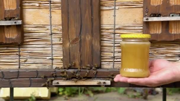 Bienenstöcke Einem Bienenhaus Mit Bienen Die Den Landeplätzen Einem Garten — Stockvideo