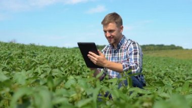 Çiftçi soya tarlasında tablet bilgisayar kullanıyor.