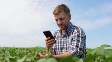 Soya fasulyesi çiftliğinin fotoğraflarını çeken çiftçi. Kalite kontrolü. Agronomlar çalışır. Brezilya Çiftliği.