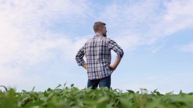 Young farmer in a soybean field looking into the distance.