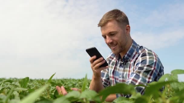 Farmer Robiący Zdjęcia Plantacji Soi Brazylijska Farma Kontrola Jakości Agronomiści — Wideo stockowe