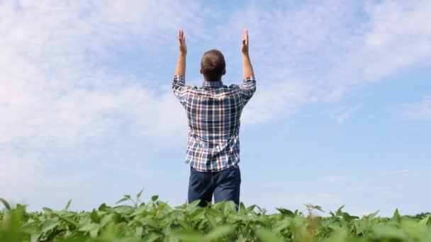 Young Farmer Soybean Fields Farmer Agronomist Growing Green Soybean Field — Vídeo de stock