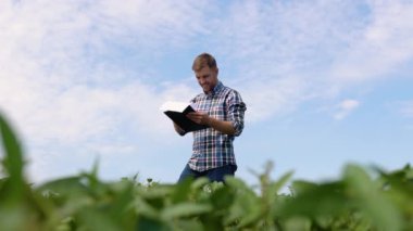 Agronomist tarlada yetişen soya fasulyesi ekinlerini inceliyor. Tarım endüstrisi.