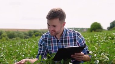Soya tarlasında genç bir çiftçi. Büyüyen yeşil fasulye tarlasında tarım yapan çiftçi. Tarım endüstrisi.