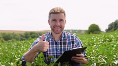 Agronomist tarlada yetişen soya fasulyesi ekinlerini inceliyor. Tarım endüstrisi