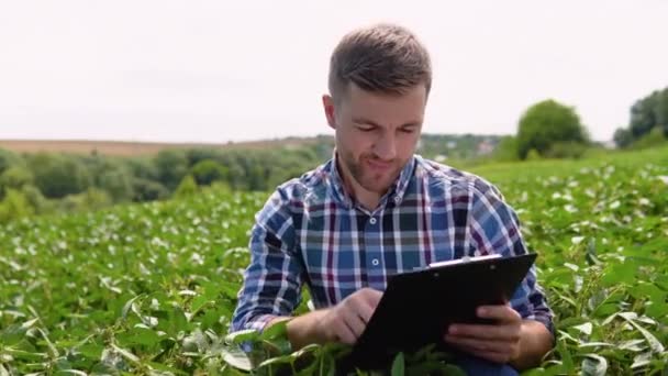 Agronomo Che Ispeziona Colture Soia Che Crescono Nel Campo Agricolo — Video Stock