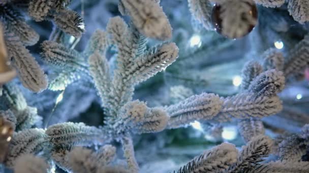 Close Christmas Tree Bokeh Garlands Background New Year Concept — Stock video