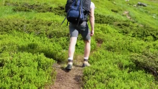 Άνθρωπος Περπατά Κατά Μήκος Των Βουνών Προς Την Κορυφή Ταξιδιωτική — Αρχείο Βίντεο