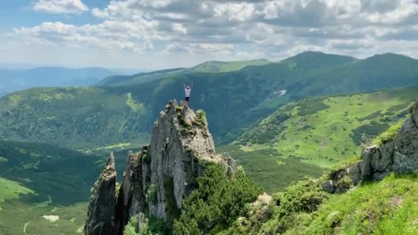 快乐的徒步旅行者赢得达成人生目标 自由和幸福 在山中的成就 — 图库视频影像